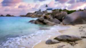photo Visite commentée Collection Bretagne !