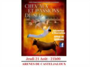 photo Chevaux et Passions du Sud