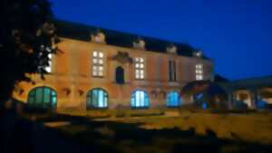 photo Illumination musicale à l'Orangerie
