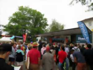 photo Marché Festifs - Boisseuil