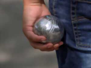 photo Concours de pétanque