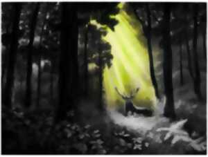 photo Exposition : Nature et Sens