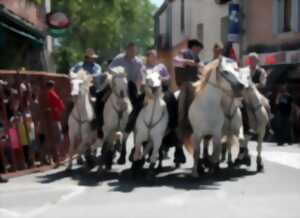 photo FÊTE VOTIVE DE MONTARNAUD