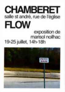 photo Flow exposition de Marisol Noilhac
