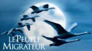 photo Le Peuple Migrateur Ciné Culte