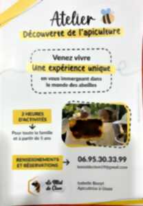 photo Atelier découverte de l'apiculture (Le miel de Clem)