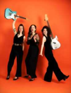 photo CONCERT THE STEADIES
