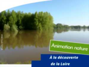 photo À la découverte de la Loire
