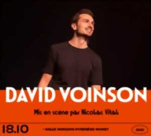 photo DAVID VOINSON PRÉSENTE MA POULE
