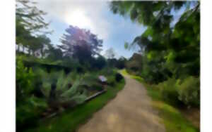 photo Jardin botanique littoral : Visite guidée du Jardin botanique littoral