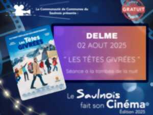 photo Le Saulnois fait son cinéma - Delme
