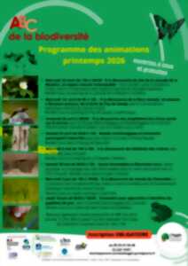 ABC de la biodiversité : à la découverte des libellules des rivières