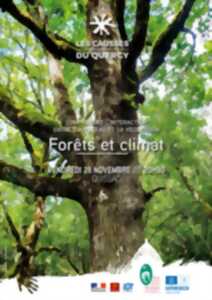 photo Forets et climat : comprendre l'interaction entre l'air, l'eau et la végétation