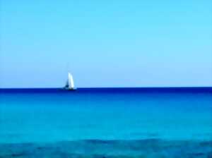 photo Festival : la semaine de la mer