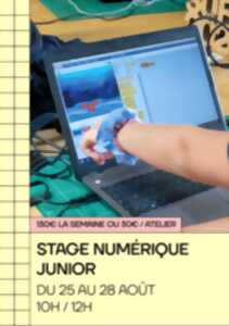 photo Stage numérique : atelier 3D