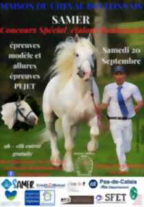 photo Concours étalons 2025