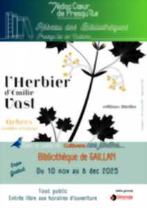 photo Expo les herbiers d'Emilie VAST les arbres feuillus