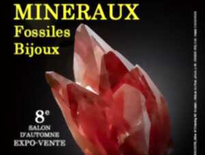 photo 8eme Salon des minéraux fossiles et bijoux