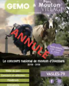 photo ANNULÉ Concours national de mouton d'Ouessant