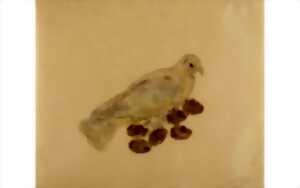 photo Exposition au Bel Ordinaire: Les animaux ne portent pas de chaussures