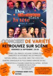 photo Concert de variété