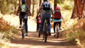 photo RANDONNÉE ANNUELLE CYCLOTOURISME - LA SEYSSOISE