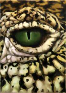 photo Exposition PARCC :