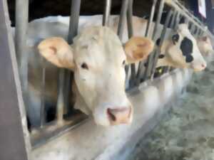 photo La tournée des fermes