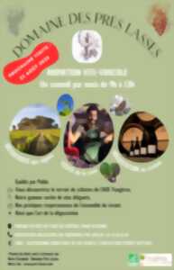 photo ANIMATION VITI-VINICOLE