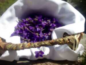 photo La Guinguette d'Alysses : Sortie nature