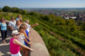 photo Découverte du vignoble d'Obernai