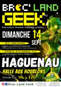 photo Broc Land Geek Haguenau