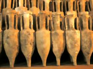 photo JEP 2025 - AMPHORALIS