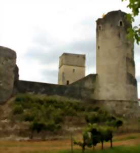 photo Journées du patrimoine : Découverte du Château et sa bastide