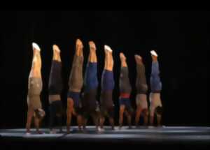 photo Le complexe de l'autruche