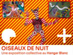 photo OISEAUX DE NUIT