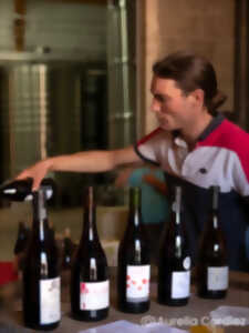 photo Dégustation des cuvées du domaine