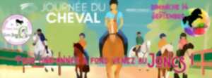 photo Fête du cheval
