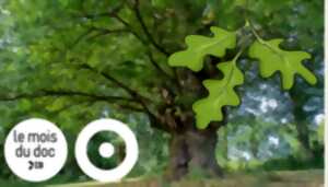 photo Mois du film documentaire à Cabrerets