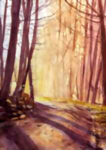 photo Carrefour des Arts : Thomas Clément