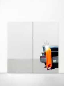 photo EXPOSITION : SYLVIE FLEURY — THUNDERB