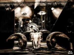 photo Session culturelle #5 - Sheep’n’Beer