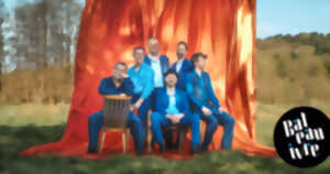 photo Debout sur le Zinc