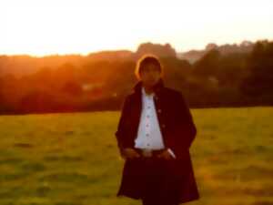 photo Concert - Laurent Voulzy