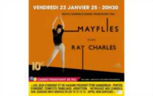 photo Mayflies - Tribute Ray Charles