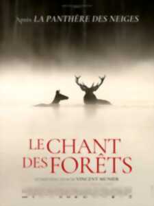 photo CINÉ-DÉBAT – LE CHANT DES FORÊTS
