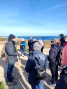 photo A la découverte des oiseaux de la Hague