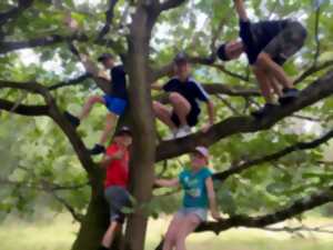 photo Stage enfants Multi activités - Vacances de la Toussaint