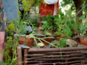 Troc de plantes