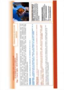 Formation en apiculture amateur